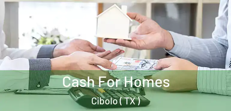  Cash For Homes Cibolo ( TX )
