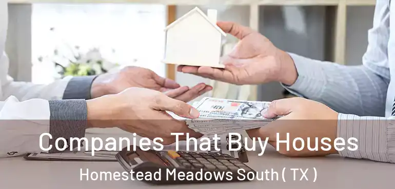  Companies That Buy Houses Homestead Meadows South ( TX )
