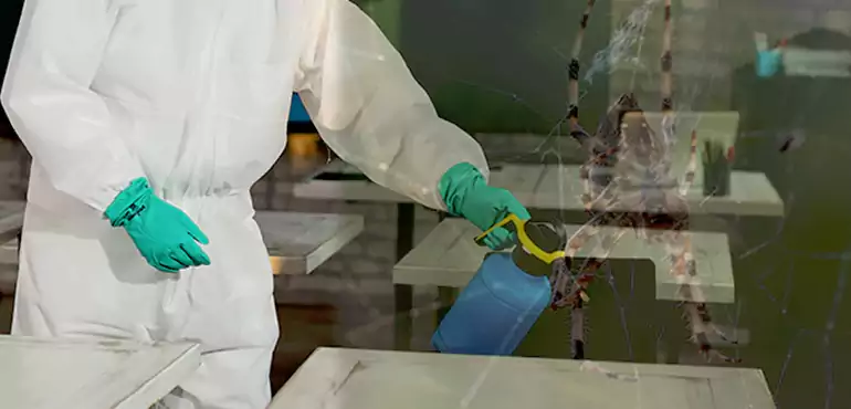 Why Buyers Still Want Homes With Pest Infestations in Texas, TX?