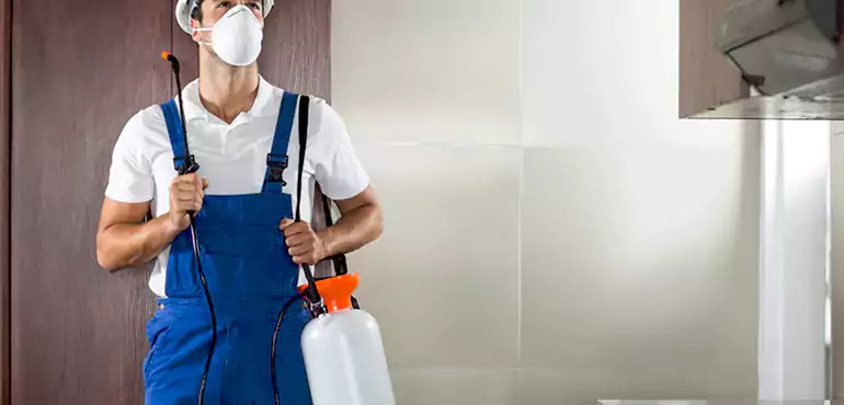 Why Texas Homeowners Choose Us When Pests Make Selling Difficult