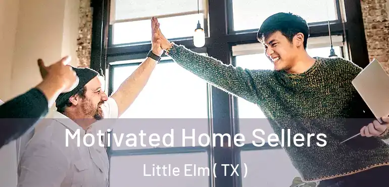  Motivated Home Sellers Little Elm ( TX )