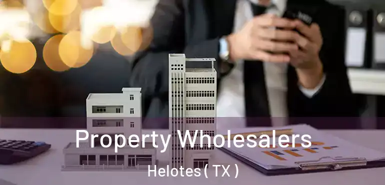  Property Wholesalers Helotes ( TX )