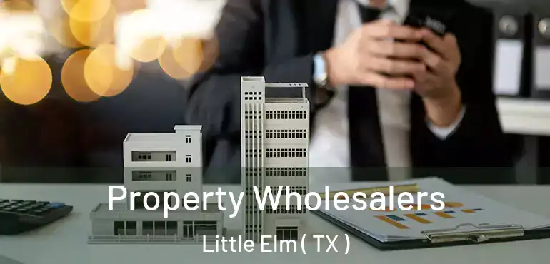  Property Wholesalers Little Elm ( TX )