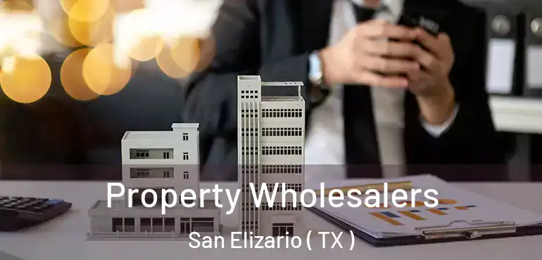  Property Wholesalers San Elizario ( TX )