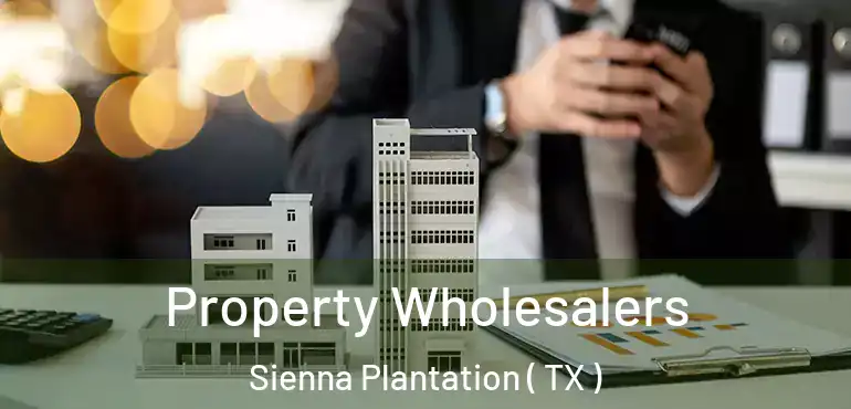  Property Wholesalers Sienna Plantation ( TX )
