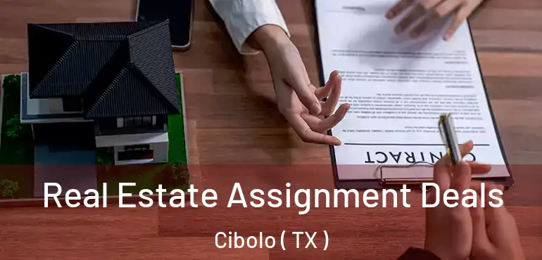  Real Estate Assignment Deals Cibolo ( TX )