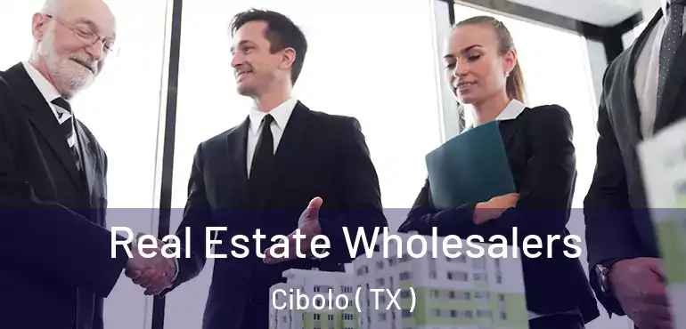  Real Estate Wholesalers Cibolo ( TX )