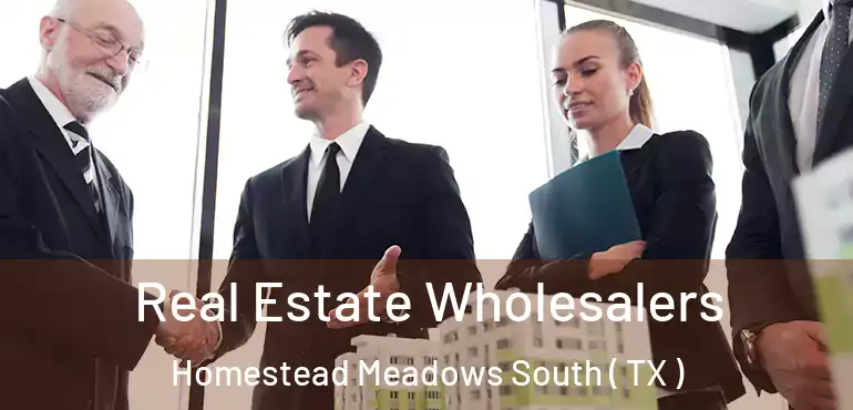  Real Estate Wholesalers Homestead Meadows South ( TX )