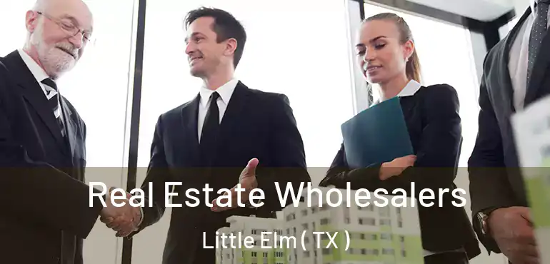  Real Estate Wholesalers Little Elm ( TX )