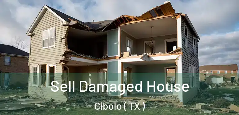  Sell Damaged House Cibolo ( TX )