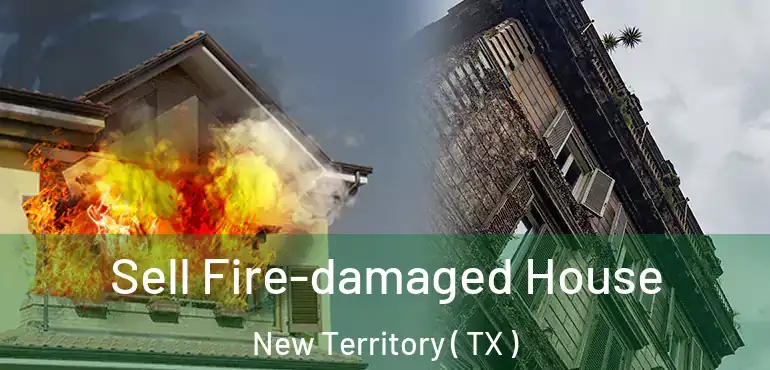  Sell Fire-damaged House New Territory ( TX )