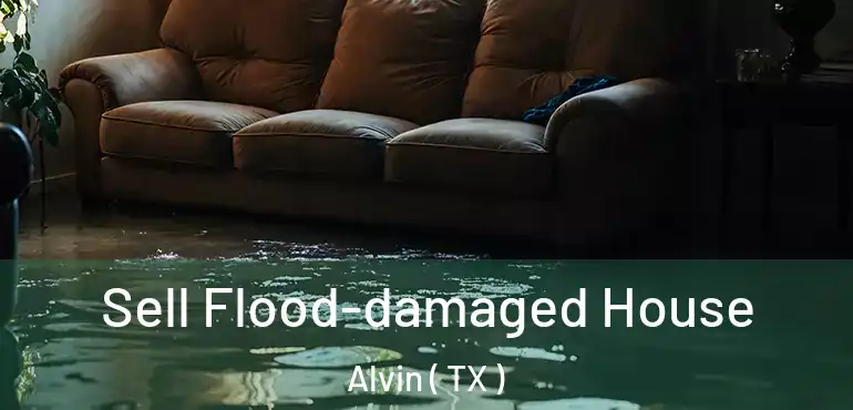  Sell Flood-damaged House Alvin ( TX )
