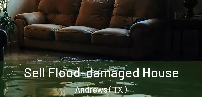  Sell Flood-damaged House Andrews ( TX )