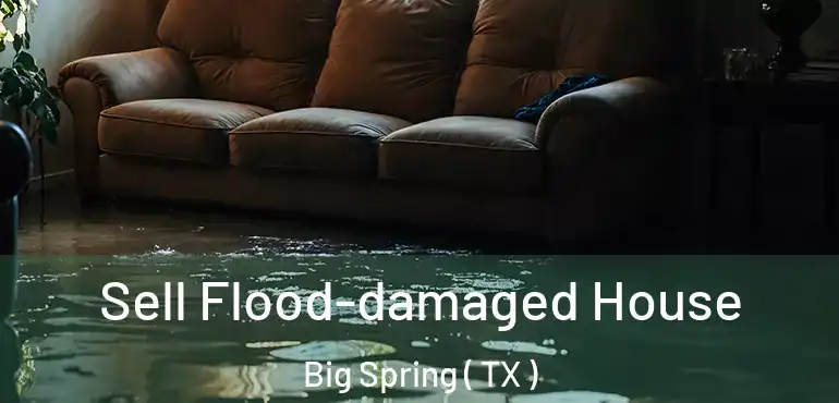  Sell Flood-damaged House Big Spring ( TX )