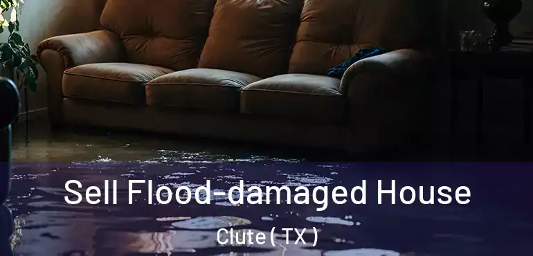  Sell Flood-damaged House Clute ( TX )