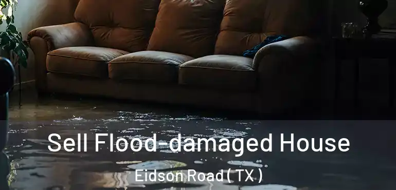 Sell Flood-damaged House Eidson Road ( TX )