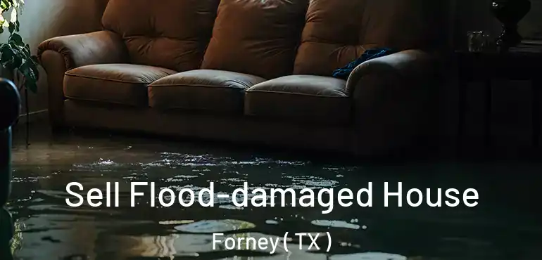  Sell Flood-damaged House Forney ( TX )