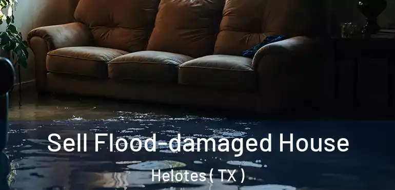  Sell Flood-damaged House Helotes ( TX )