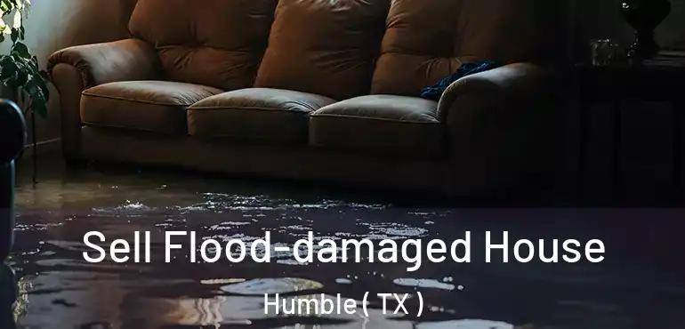  Sell Flood-damaged House Humble ( TX )