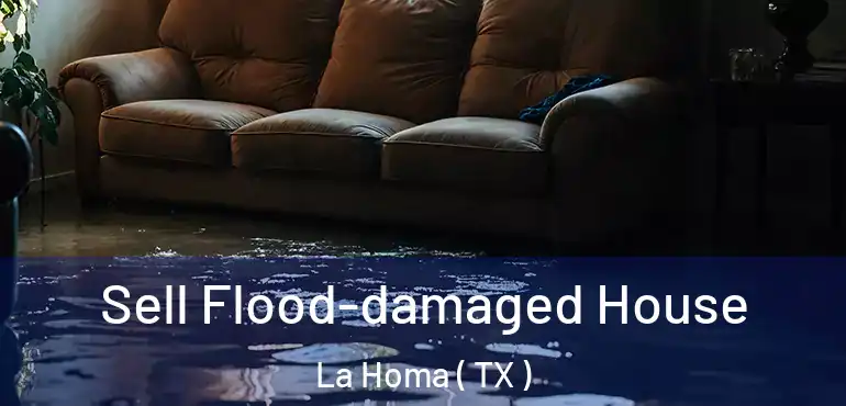  Sell Flood-damaged House La Homa ( TX )