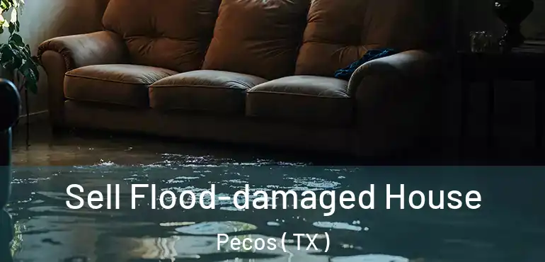 Sell Flood-damaged House Pecos ( TX )
