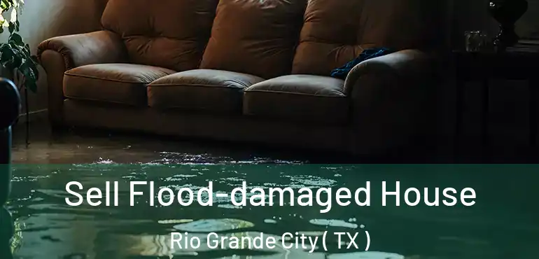  Sell Flood-damaged House Rio Grande City ( TX )
