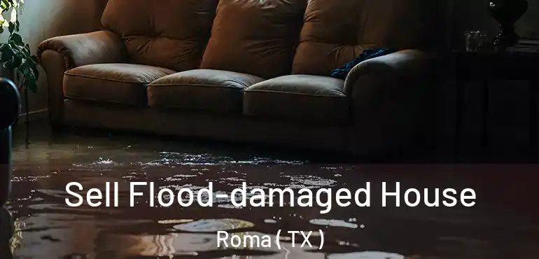  Sell Flood-damaged House Roma ( TX )