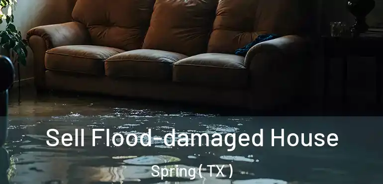  Sell Flood-damaged House Spring ( TX )