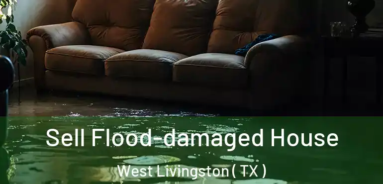  Sell Flood-damaged House West Livingston ( TX )