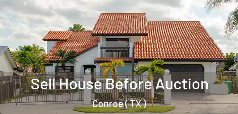  Sell House Before Auction Conroe ( TX )