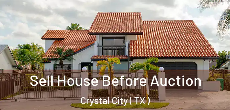  Sell House Before Auction Crystal City ( TX )