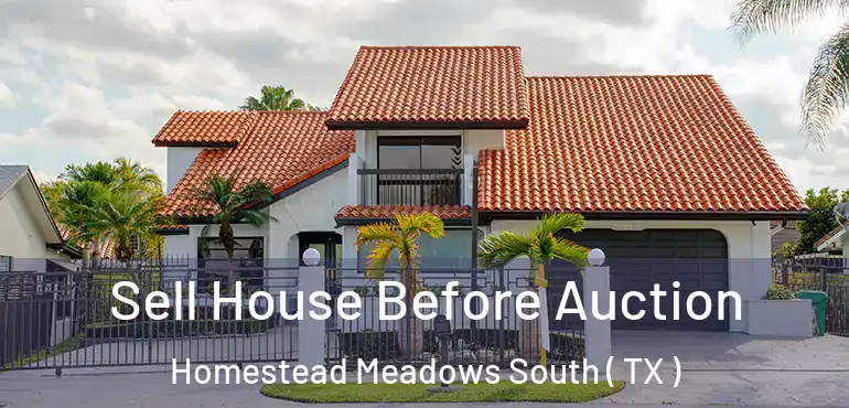  Sell House Before Auction Homestead Meadows South ( TX )