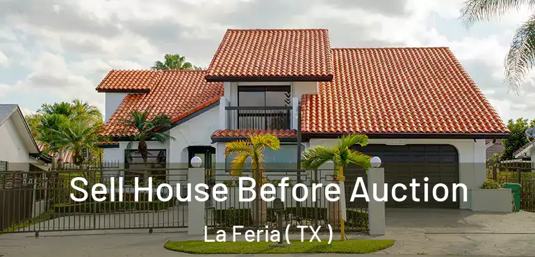  Sell House Before Auction La Feria ( TX )