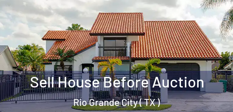  Sell House Before Auction Rio Grande City ( TX )