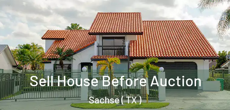  Sell House Before Auction Sachse ( TX )