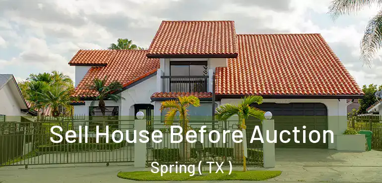  Sell House Before Auction Spring ( TX )