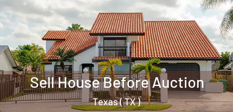  Sell House Before Auction Texas ( TX )