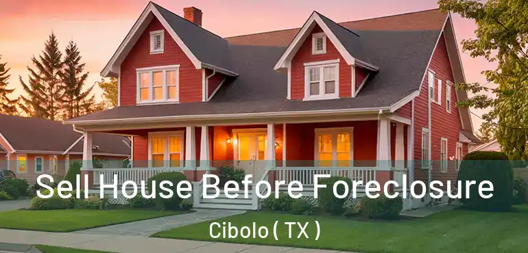  Sell House Before Foreclosure Cibolo ( TX )