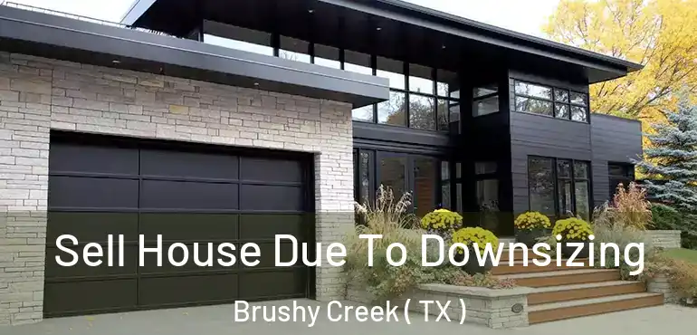  Sell House Due To Downsizing Brushy Creek ( TX )