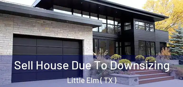  Sell House Due To Downsizing Little Elm ( TX )