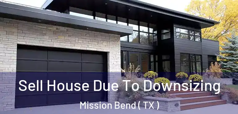  Sell House Due To Downsizing Mission Bend ( TX )