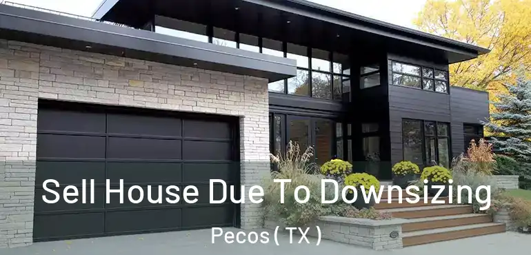  Sell House Due To Downsizing Pecos ( TX )