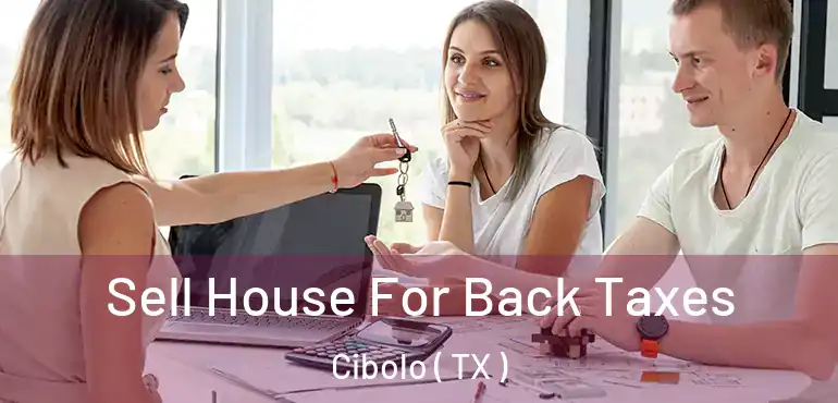  Sell House For Back Taxes Cibolo ( TX )