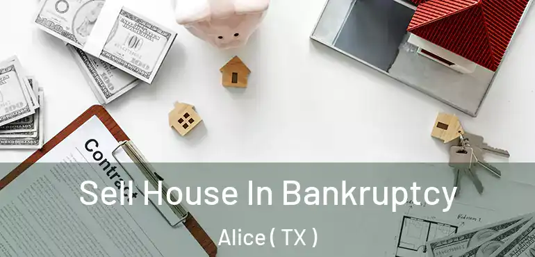  Sell House In Bankruptcy Alice ( TX )