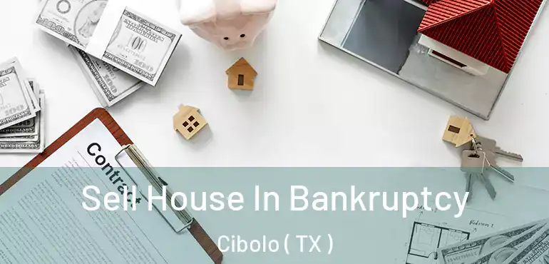 Sell House In Bankruptcy Cibolo ( TX )