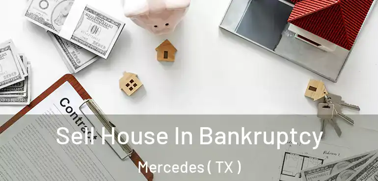  Sell House In Bankruptcy Mercedes ( TX )