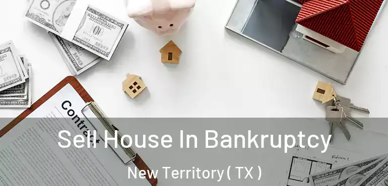  Sell House In Bankruptcy New Territory ( TX )