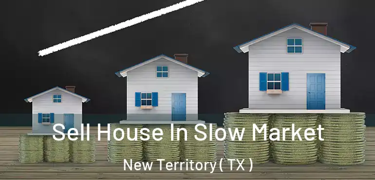  Sell House In Slow Market New Territory ( TX )