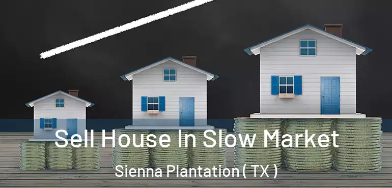  Sell House In Slow Market Sienna Plantation ( TX )