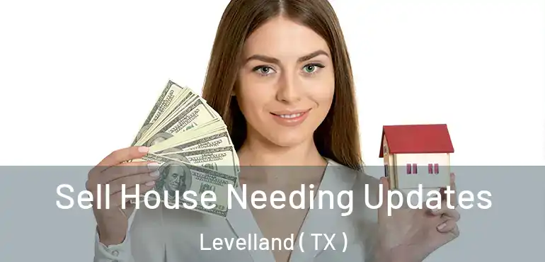  Sell House Needing Updates Levelland ( TX )